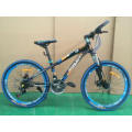 Jiebao Model Mountain Bicycle MTB Mountain Bike